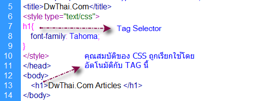 Css Selectors เบื้องต้น ในรูปแบบพื้นฐานที่ควรรู้ [Article Id : 197]